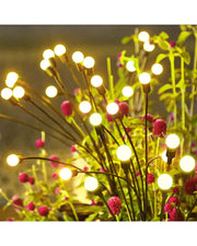 Solar Garden Lights - One Bunch