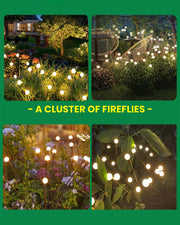 Solar Garden Lights - One Bunch