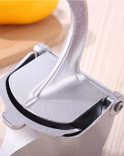 Manual Juice Squeezer