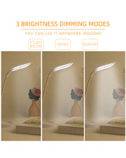 Study Lamp
