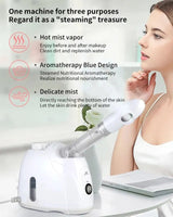 Facial Steamer