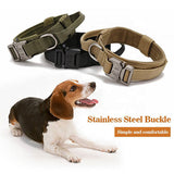 Tactical Dog Collar With Metal Buckle And D-Ring - Medium & Large Breeds