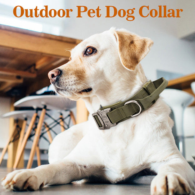 Tactical Dog Collar With Metal Buckle And D-Ring - Medium & Large Breeds