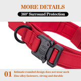 Tactical Dog Collar With Metal Buckle And D-Ring - Medium & Large Breeds