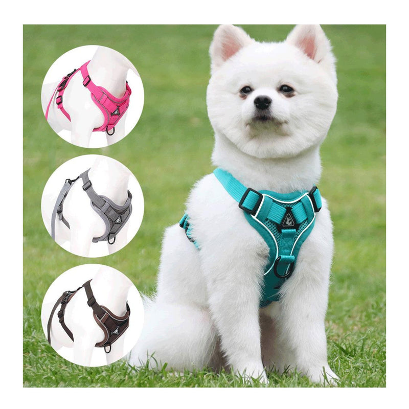 Pet Chest Strap Rope/Harness (Multi Color)