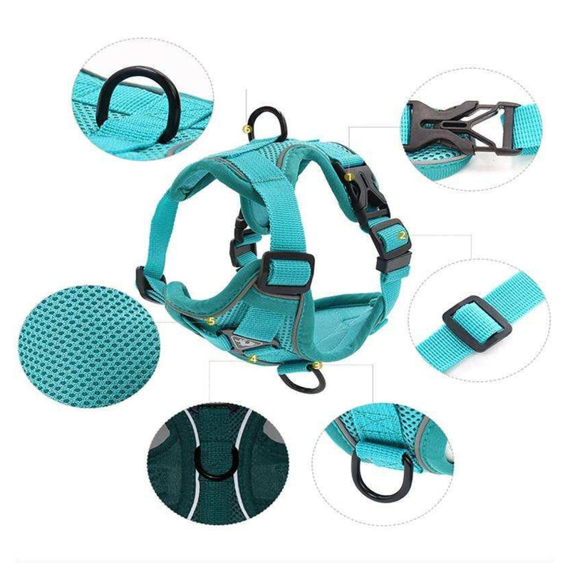 Pet Chest Strap Rope/Harness (Multi Color)