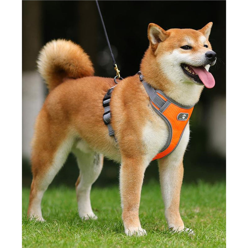 Pet Chest Strap Rope/Harness (Multi Color)