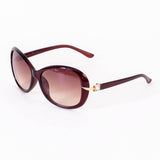 Ladies Sunglasses with Hanging Cover Case - "1423 60 17-120 C79"