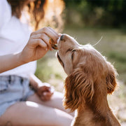 Pet Chicken Rings - 100gm