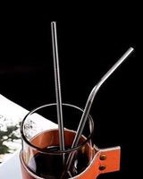 Stainless Steel Straws Set of 2