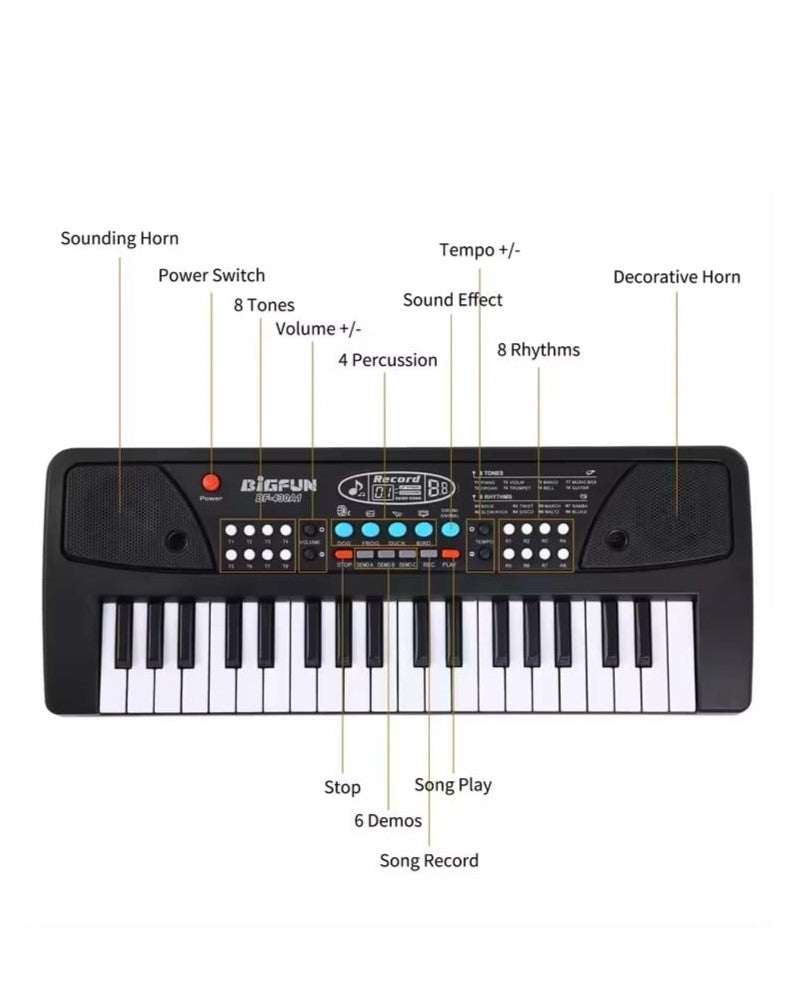 Sing and Play Keyboard