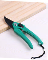 Plant Scissors - Garden Tool