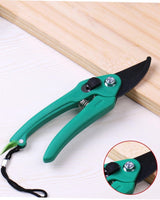 Plant Scissors - Garden Tool