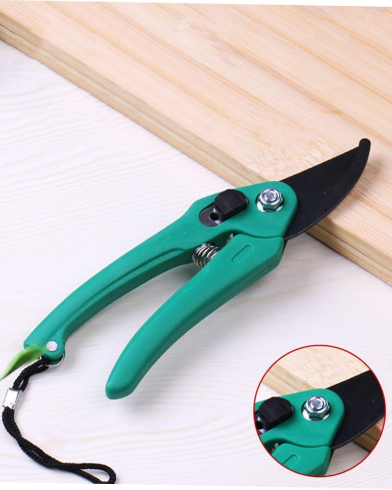 Plant Scissors - Garden Tool