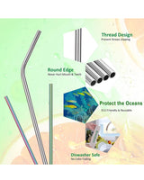 Stainless Steel Straws Set of 2