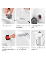 Facial & Clothes Steamer Portable Handheld