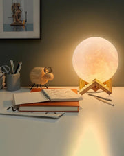 3D Moon Lamp