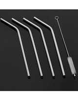 Stainless Steel Straws Set of 2