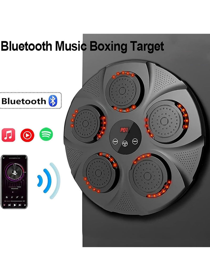 Smart Boxing Target